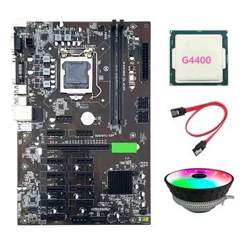 B250 BTC Mining Placa de baza cu G4400 PROCESOR+Ventilator de Răcire+Cablu SATA 12XGraphics Slot pentru Card de LGA 1151 DDR4 USB3.0 pentru BTC
